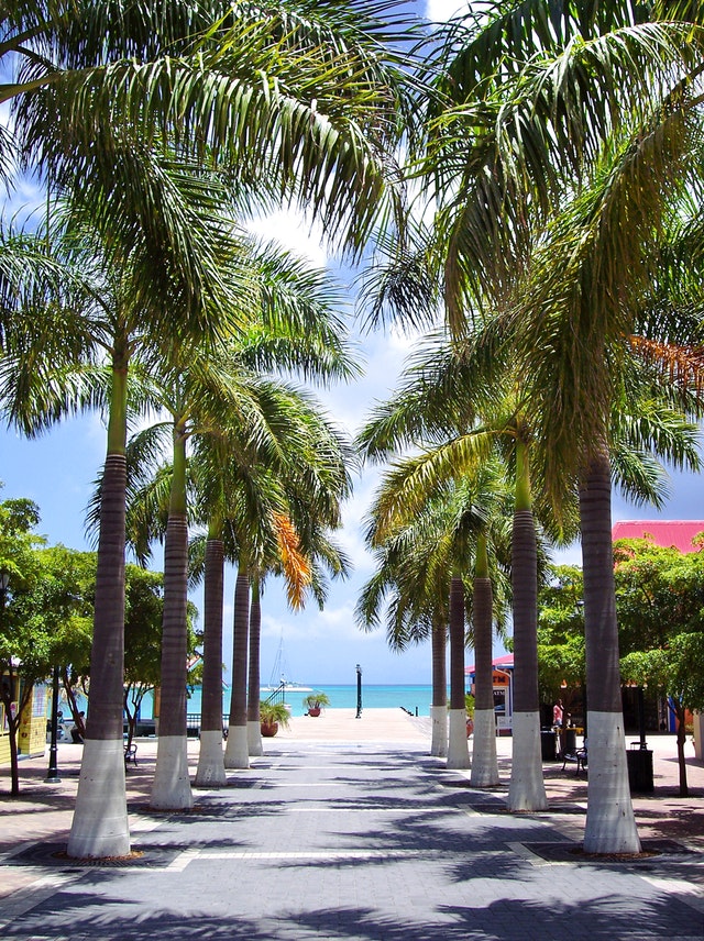 beach walkaway